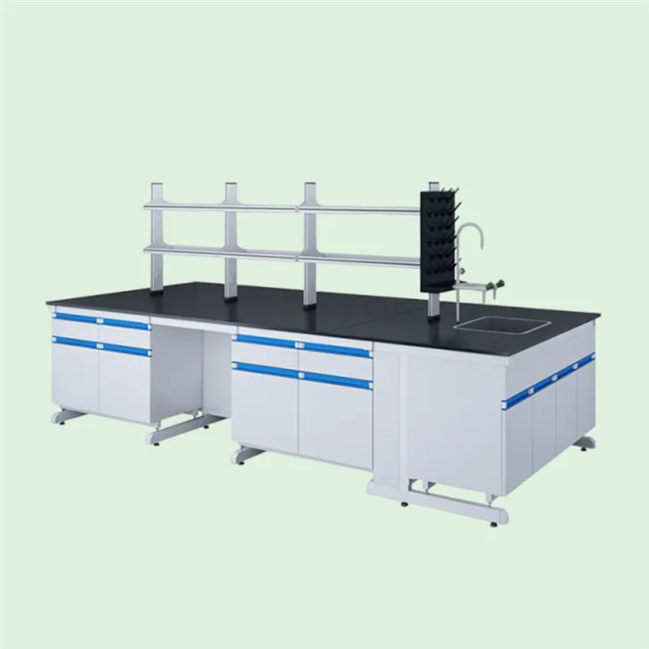 Steel Wood Structure Laboratory Bench